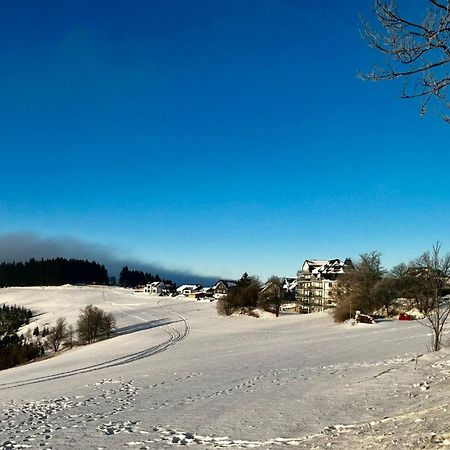 Astenblick Apartments Winterberg With Sauna エクステリア 写真