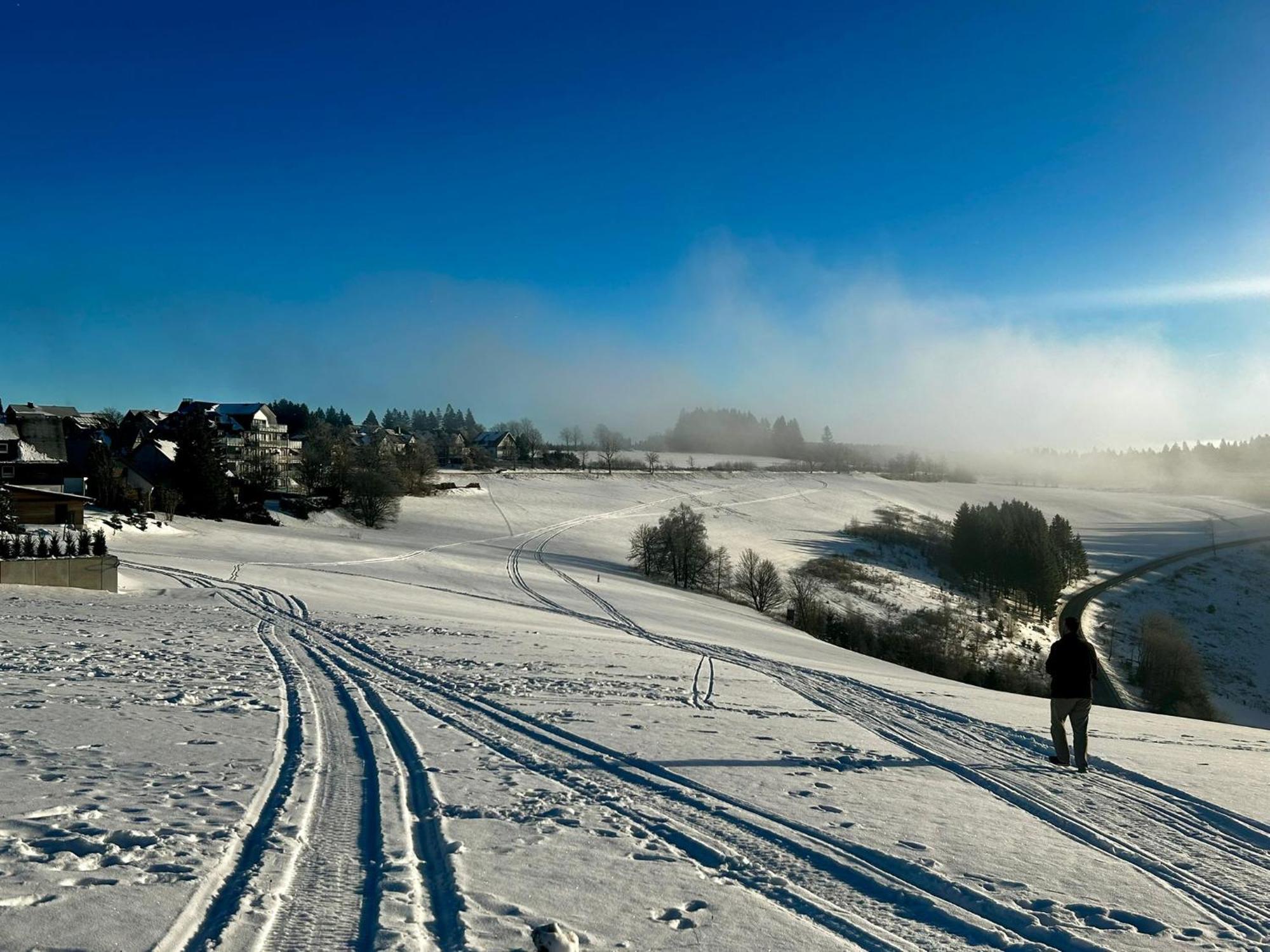 Astenblick Apartments Winterberg With Sauna エクステリア 写真